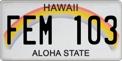 HI license plate FEM103