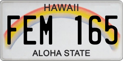 HI license plate FEM165
