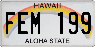 HI license plate FEM199