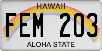 HI license plate FEM203