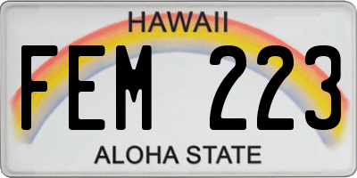 HI license plate FEM223