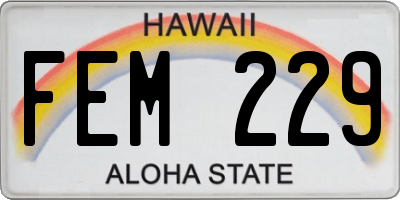 HI license plate FEM229