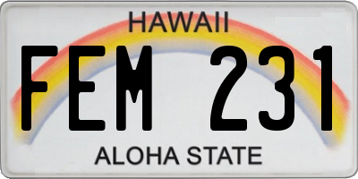 HI license plate FEM231