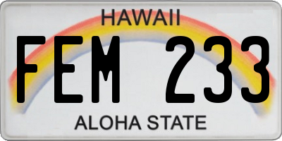 HI license plate FEM233