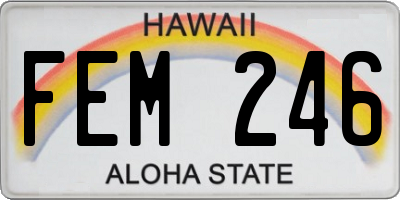 HI license plate FEM246