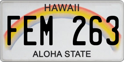 HI license plate FEM263