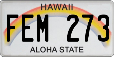 HI license plate FEM273