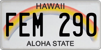 HI license plate FEM290