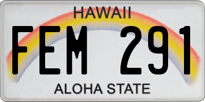 HI license plate FEM291