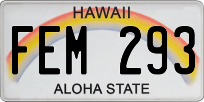HI license plate FEM293