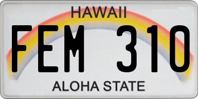 HI license plate FEM310