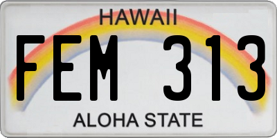 HI license plate FEM313