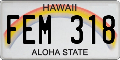 HI license plate FEM318