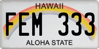 HI license plate FEM333