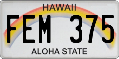 HI license plate FEM375