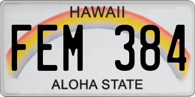 HI license plate FEM384