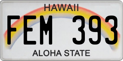 HI license plate FEM393
