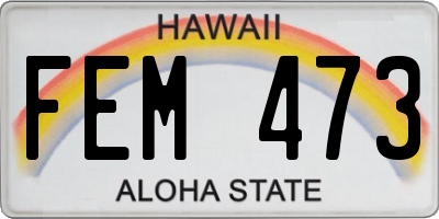 HI license plate FEM473