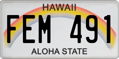 HI license plate FEM491