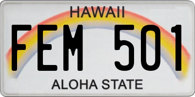 HI license plate FEM501