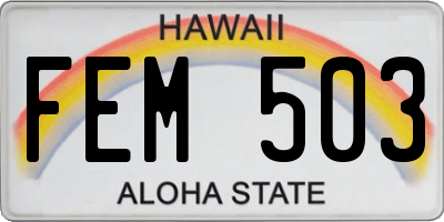 HI license plate FEM503