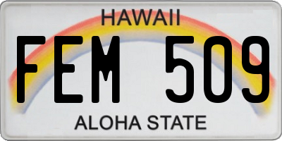 HI license plate FEM509