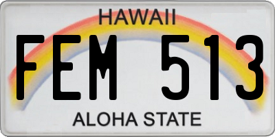 HI license plate FEM513