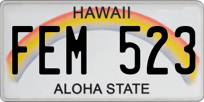 HI license plate FEM523