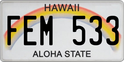 HI license plate FEM533