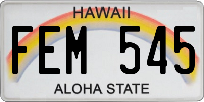 HI license plate FEM545