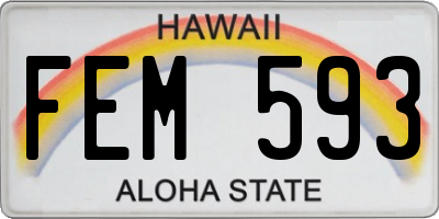 HI license plate FEM593