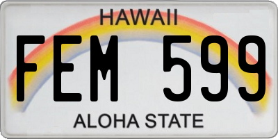 HI license plate FEM599