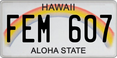 HI license plate FEM607