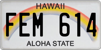 HI license plate FEM614