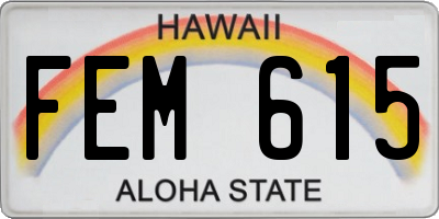 HI license plate FEM615