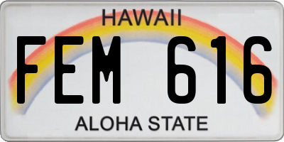 HI license plate FEM616