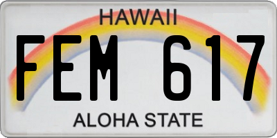 HI license plate FEM617
