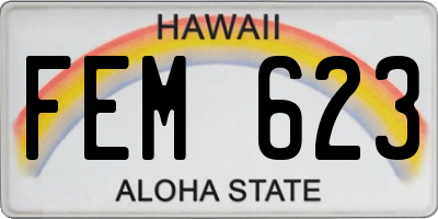 HI license plate FEM623