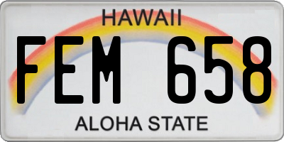 HI license plate FEM658