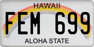 HI license plate FEM699