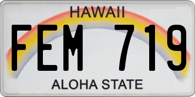 HI license plate FEM719