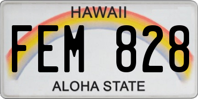 HI license plate FEM828