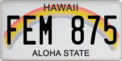 HI license plate FEM875