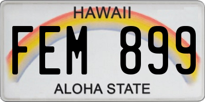 HI license plate FEM899