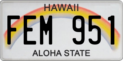 HI license plate FEM951