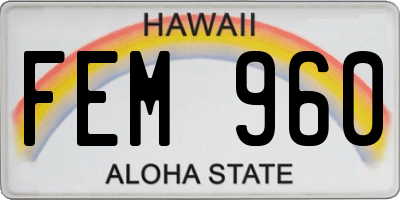 HI license plate FEM960