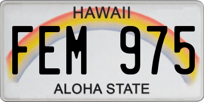 HI license plate FEM975