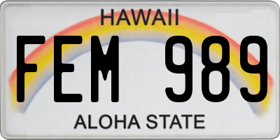 HI license plate FEM989