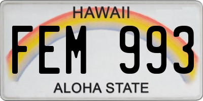 HI license plate FEM993