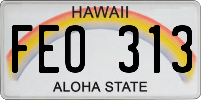 HI license plate FEO313